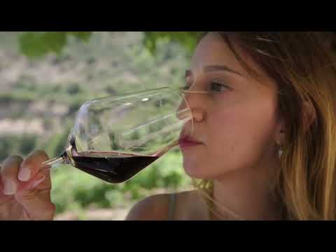 WINES OF GREECE 2022 Extended