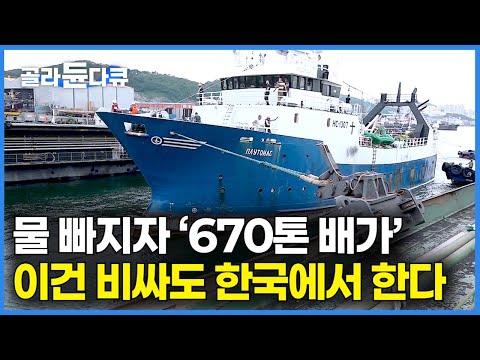 '670톤은 귀여운 수준' 조선 업계의 불황 속에서 이것 만큼은 '호황'｜비싸도 한국으로 오는 이유｜바다 위 움직이는 조선소｜대형 선박 수리 조선소｜극한직업｜#골라듄다큐