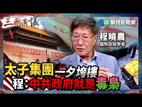 太子集團一夕垮樓 程：中共政府就是毒梟｜#程曉農 #矢板明夫 #汪浩｜@華視三國演議｜精華｜20251109