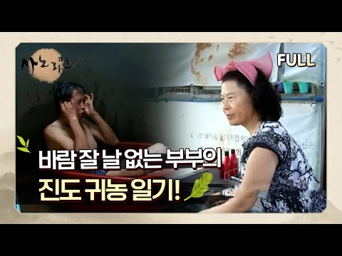 [사노라면] (full영상) 바람 잘 날 없는 부부의 진도 귀농 일기