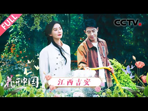 【Full】刘诗诗煮茶梦回若曦，撒贝宁和水哥种花强迫症上线 | CCTV「花开中国」20250802 第1期