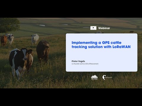 Webinar: Implementing a GPS cattle tracking solution with LoRaWAN - The Things Industries/Moovement