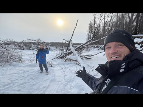 НЕ ЛЕЗЕТ В ЛУНКУ ИЗ ЗАТОПЛЕННОГО ЛЕСА! РЫБАЛКА КАК РАНЬШЕ - ПО ИНТУИЦИИ без БАРАХЛА!