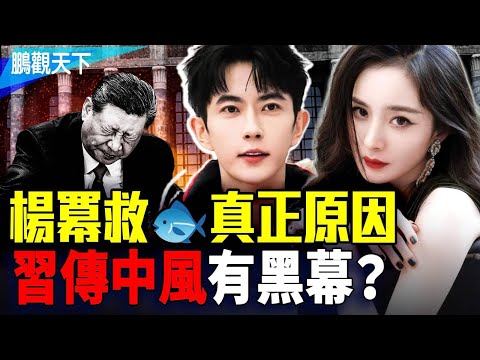 楊冪三度救『四哥』，真實內幕驚人：欲破對于朦朧邪術！習近平傳中風，遭風水反噬，還是高層內鬥？！