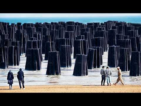 Here's Why Canada Can't Build Its Own Refineries, Even Though It Produces Millions of Tons of Oil