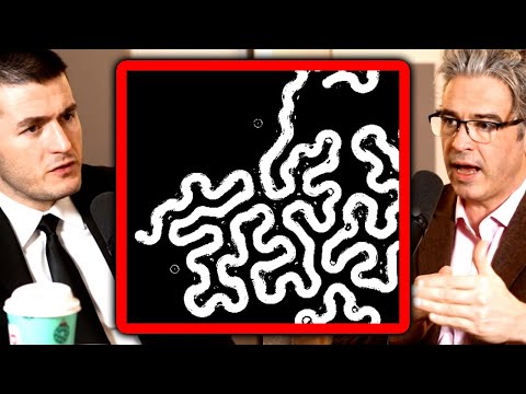 Cellular automata is a fake complexity generator | Lee Cronin and Lex Fridman