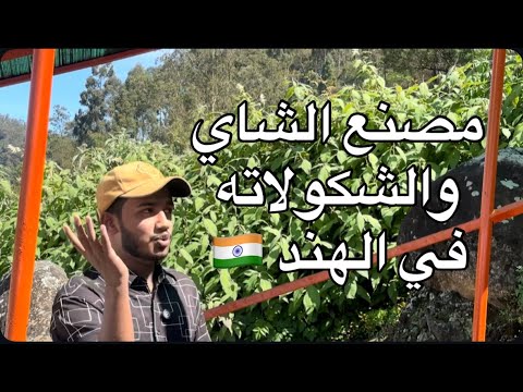 مصنع الشاي في الهند 🇮🇳 | تجربة لا تُنسى