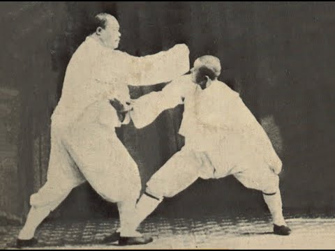 Tung - Yang Style Taiji (Tai Chi) Applications