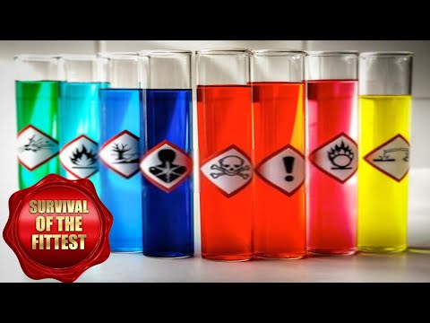 🏭🍄💄Chemical Exposure Explained | Chemical Exposure HSE | Chemical safety | Toxicity |Chemical intake