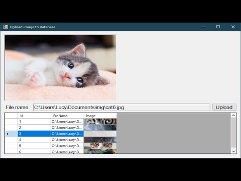 C# Tutorial - Insert and Retrieve Image from SQL Server | FoxLearn