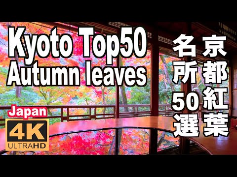 京都の紅葉名所50選 Kyoto Top50 Autumn leaves Spots JAPAN 京都観光 旅行 案内 日本の紅葉 Guide autumn colors maple