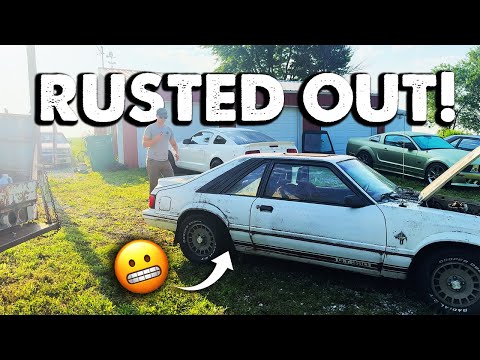 RUSTY GT350 Foxbody! Will it RUN and DRIVE after 20 years?