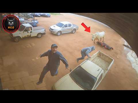 Momentos increíbles captados por la cámara | Lo mejor del mes #44