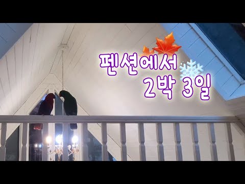 [지구젤리/일상] 가을🍁과 겨울❄️ 사이, 펜션에서 2박 3일