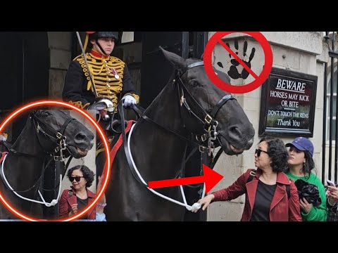 She was Kicked for being Rude and Disrespectful and this is what the Tourist did!