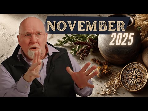 November 2025