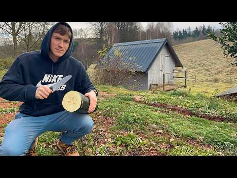 A Week on Our Small Farm – 40kg Honey, Egg Collecting & Cows