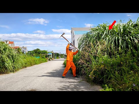 No One Has Dared Walk on The Sidewalk in Years – You Won't Believe What we Found Under the Weeds!