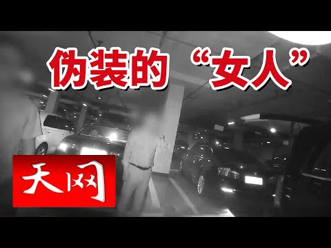 《天网》嫌疑人假扮女性实施连环车内盗窃！20241225