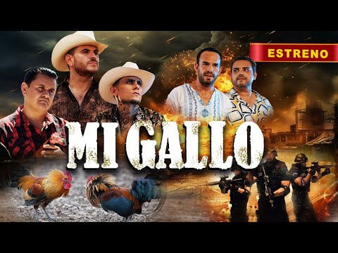 MI GALLO | Pelicula Completa de Accion en Español | Estreno 2025