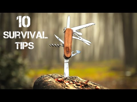 10 Wilderness Survival Tips | Bushcraft Skills