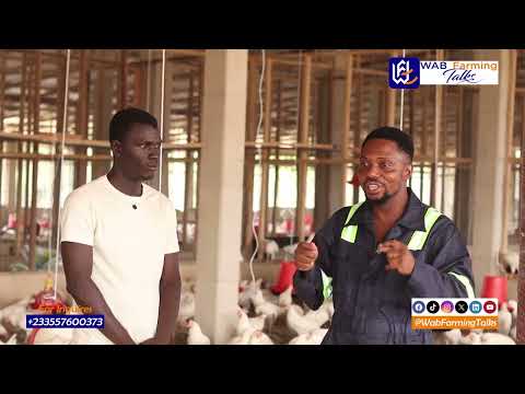 Why Poultry Farming Is a Smart Business in 2026