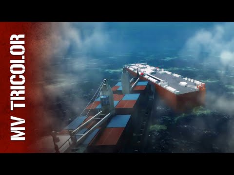 Blind Collision Sinks Tricolor in Minutes