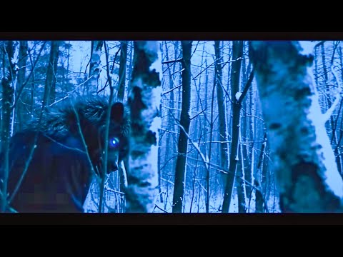 Terrifying Creatures Sighted In Tennessee Deep Woods