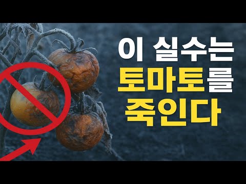 텃밭 농사를 망치는 치명적인 5가지 실수! 😱 | 절대 실패 없는 완벽한 준비 방법