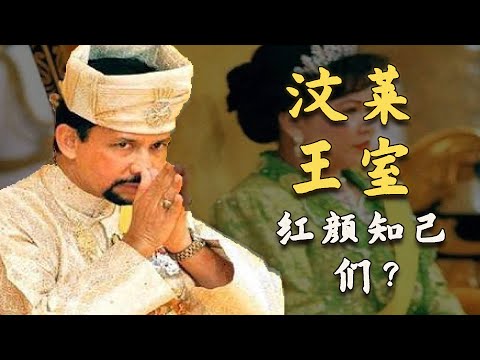 汶莱王后受宠的秘诀？王妃们鲜为人知的下场？“汶莱王室”是奢侈的代名词？汶莱王室你所不知的一面！#brunei #bruneidarussalam #苏丹 #sultanbrunei