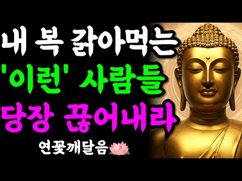 절대로 곁에 두지 마세요. 내 남은 복까지 몽땅 뺏어가는 인간 유형 3가지 | 부처님 말씀 | 석가모니 | 불교명언 | 불교오디오북
