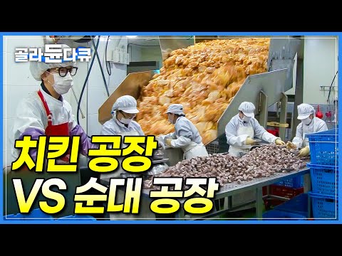 공장에서 하루만에 다 만듭니다. 순대 6톤 치킨 4톤🍗 한국인이 사랑하는 치킨과 순대 만드는 과정 │야식 공장 │순댓국 재료│극한직업 │ #골라듄다큐