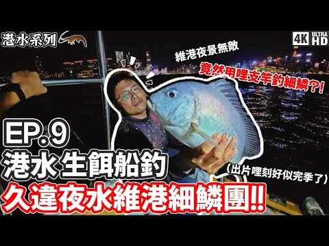 【港水系列】港水生餌船釣 #9｜維港｜細鱗 沙鱲 奄釘｜2025久違夜水細鱗團！！船長用哩支竿釣細鱗？！｜4K｜奸仔
