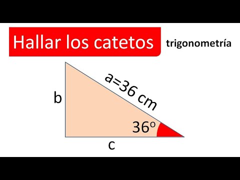 FIND THE LEGS. WE KNOW THE HYPOTENUSE AND ONE ANGLE. Trigonometry