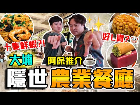 【9BT】大埔隱世農業Cafe☕️$300一條魚⁉️科研菜式香港製造🔥本地農業養殖食材❤️文青打卡必去‼️