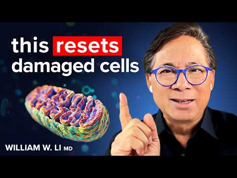 Why You’re TIRED All the Time: THESE Foods Make New Mitochondria (Scientific Proof) | Dr. William Li