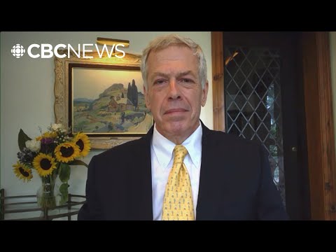 Canada is 'dealing with a Mafia state,' says former communications director for Jean Chrétien