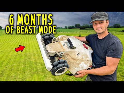 LUBA 2 AWD Long Term Review - I was Shocked!