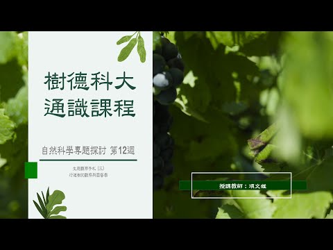 樹德科大通識課程_自然專題_第12週_生態觀察手札(三)：行道樹的觀察與園藝學