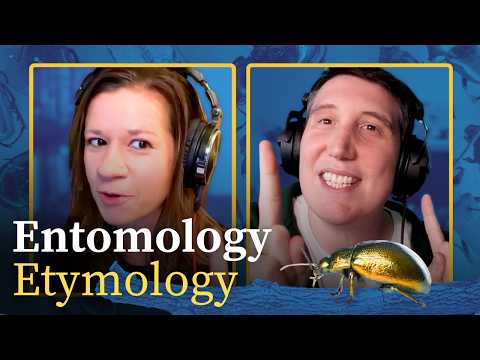 Why is there a cat in "caterpillar"? | BUG WORDS