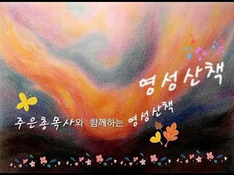 시편8편/ 주의 이름이 온 땅에 어찌 그리 아름다운지요.