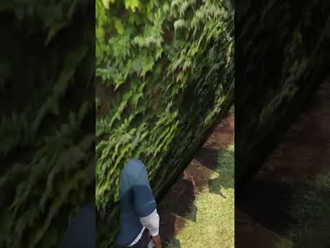 Hedge That is not Solid in GTA 5 #gta5 #gtav #gtafacts - DarkViperAU