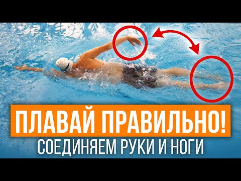 Соединяем ноги и руки в кроле правильно! 5 упражнений, которые поставят технику плавания кролем