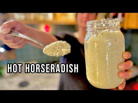 How to Make Prepared Hot Horseradish at Home | Easy Recipe