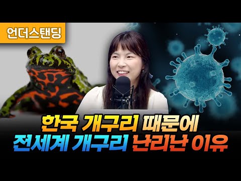 한국 개구리 때문에 전세계 개구리 난리난 이유 (중동고등학교 과학교사 안주현 박사)
