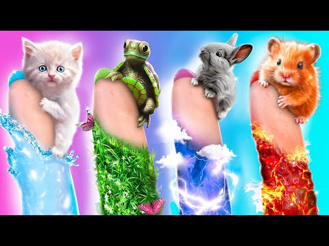 Я спасла бездомных животных! Строим секретные домики для животных 4 стихии!