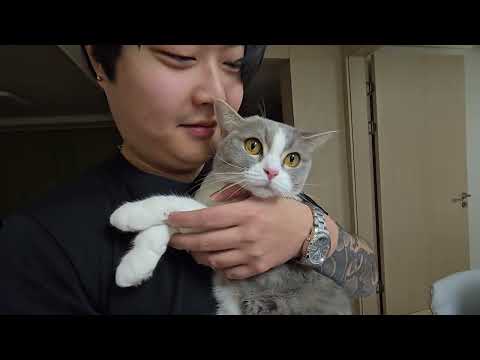 ХИНКАЛИ НА НОЧЬ|ПОЛНАЯ СУМКА ЕДЫ