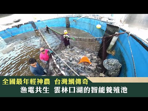 《新聞深呼吸》第141集-PART4 全國最年輕神農 台灣鯛傳奇 漁電共生 雲林口湖的智能養殖池