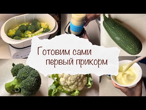 КАК ПРИГОТОВИТЬ ДЕТСКОЕ ПИТАНИЕ ДОМА 👩‍🍳 ПЕРВЫЙ ПРИКОРМ 🥦 ГОТОВИМ САМИ ОВОЩИ