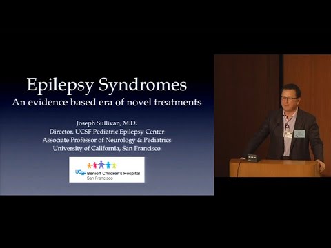 Epilepsy Syndromes: An Evidence-based Era of Novel Treatments